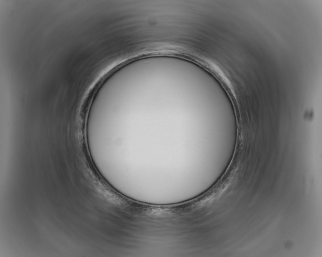 X0000095920835200801110853