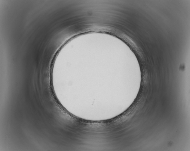 X0000095920836200801110853