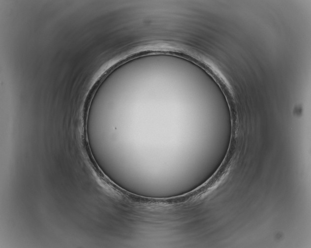 X0000095920837200801110853