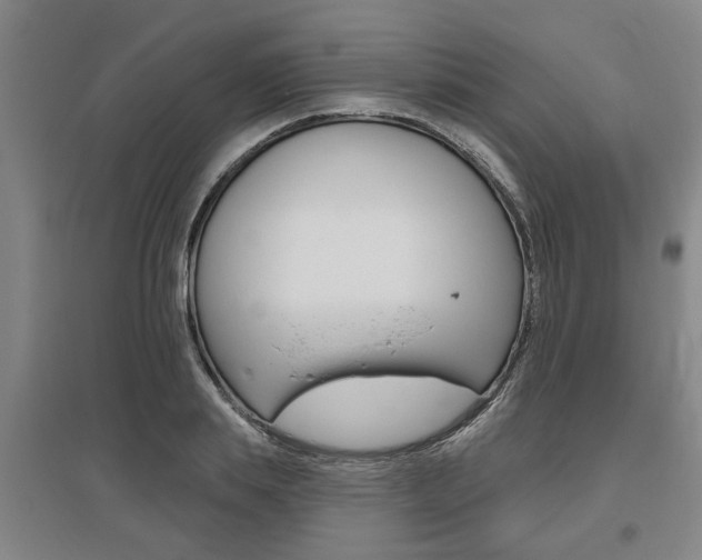 X0000095920839200801110853