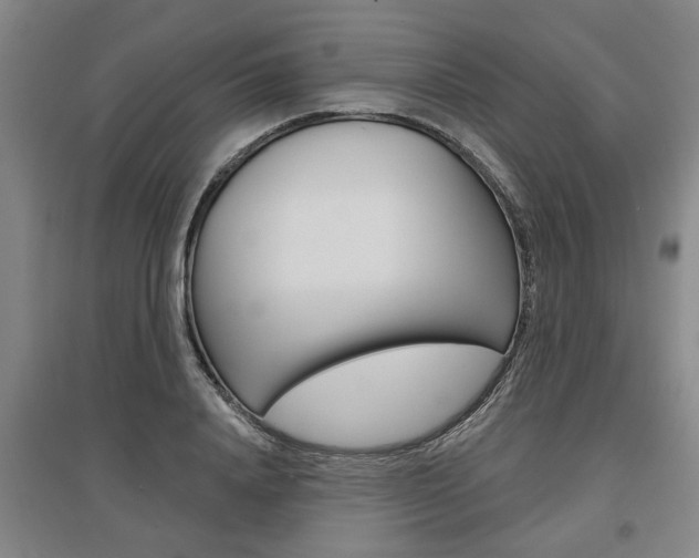 X0000095920840200801110853