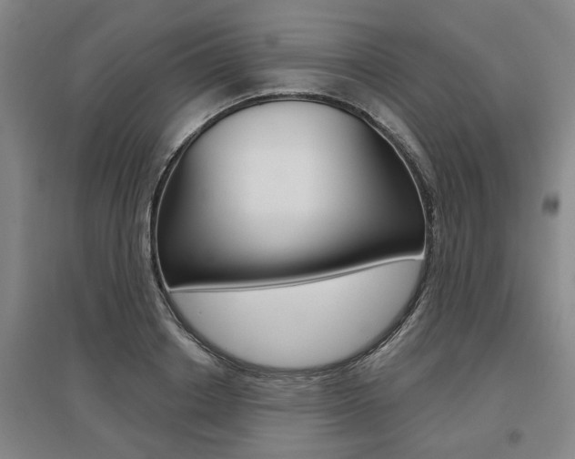 X0000095920842200801110853