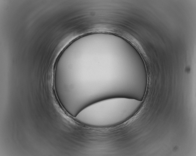 X0000095920844200801110853