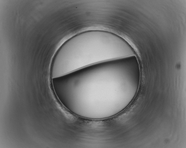 X0000095920845200801110853