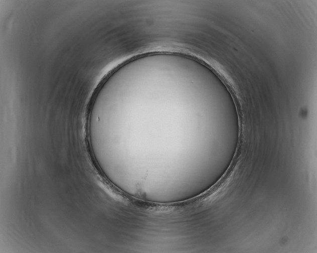 X0000095920846200801110853