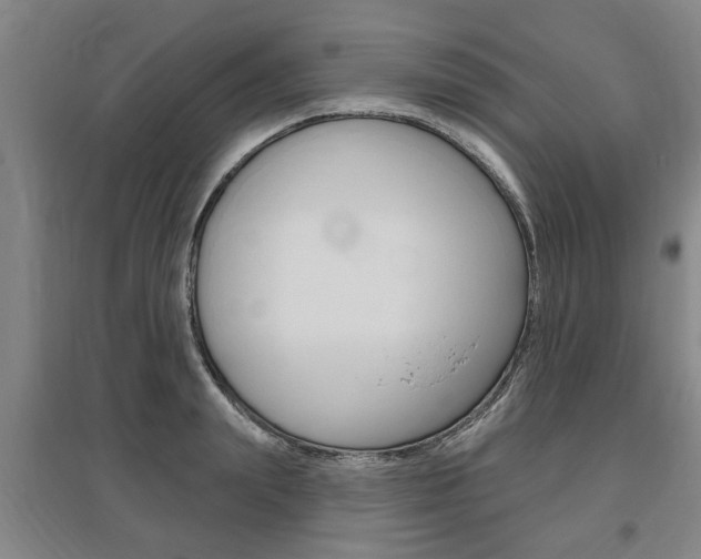 X0000095920847200801110853