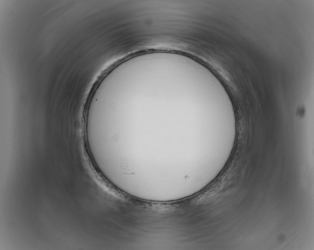 X0000095920848200801110853