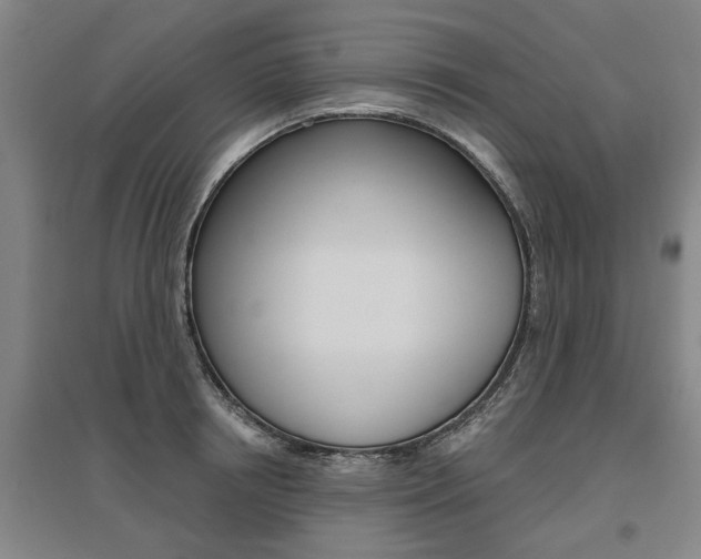 X0000095920850200801110853