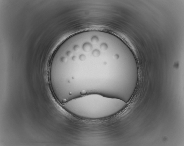 X0000095920851200801110853