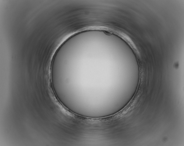 X0000095920852200801110853
