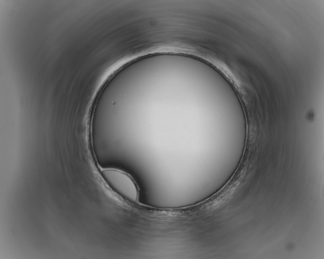 X0000095920854200801110853