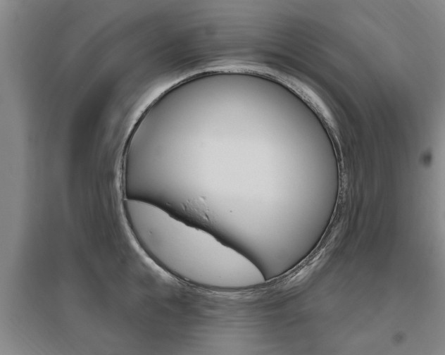 X0000095920855200801110853
