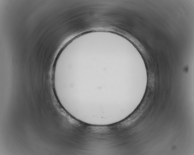 X0000095920856200801110853