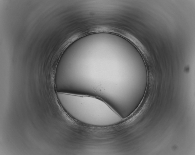 X0000095920857200801110853