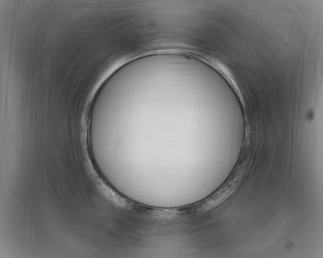 X0000095920859200801110853