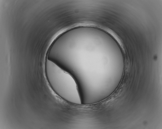 X0000095920861200801110853