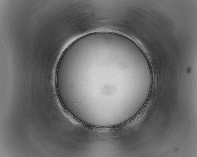 X0000095920862200801110853