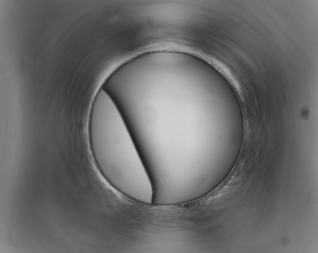 X0000095920863200801110853