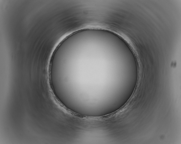 X0000095920864200801110853