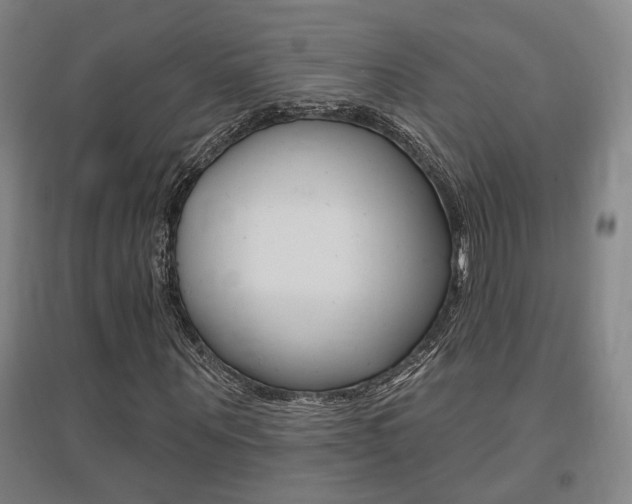 X0000095920867200801110853