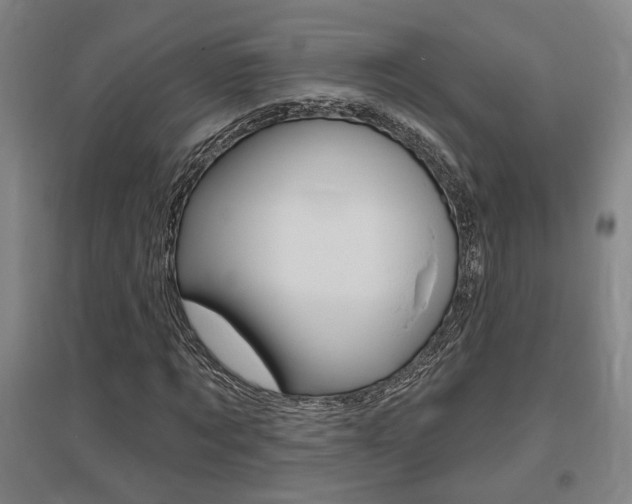 X0000095920869200801110853