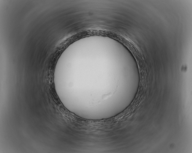 X0000095920870200801110853