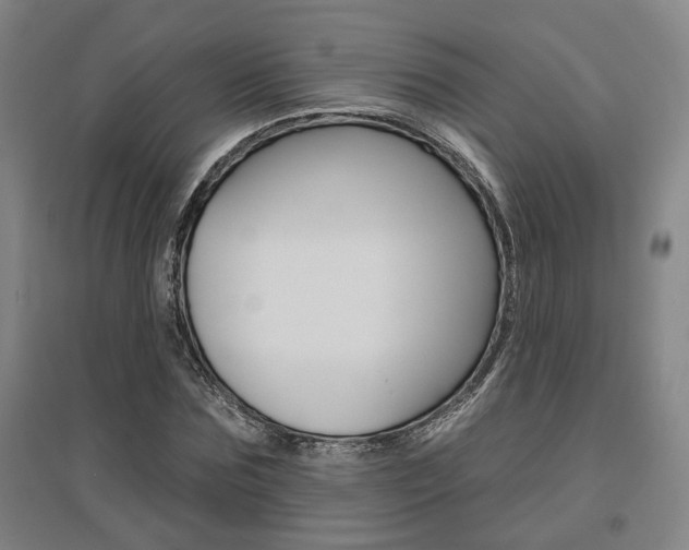 X0000095920875200801110852