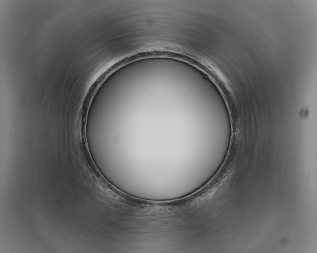 X0000095920877200801110852