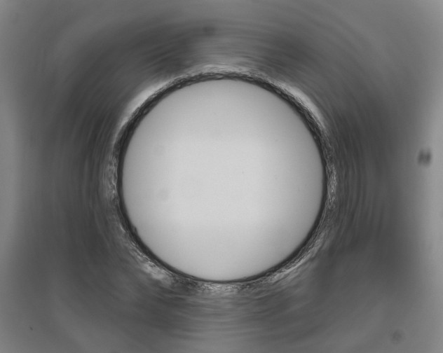 X0000095920878200801110852