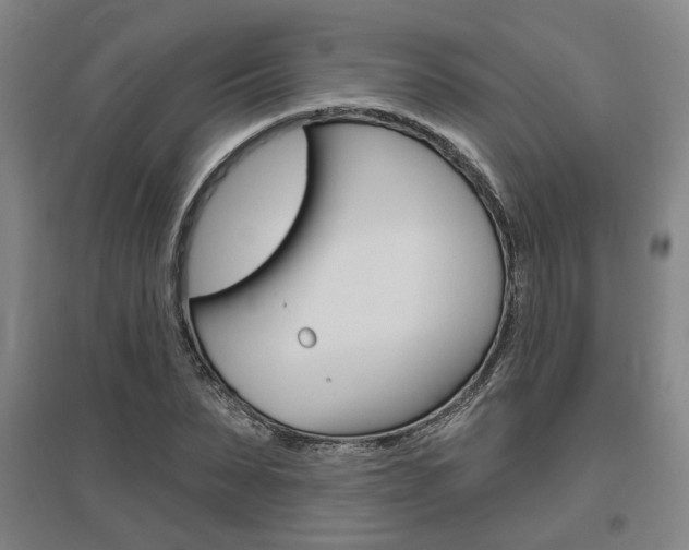 X0000095920879200801110852
