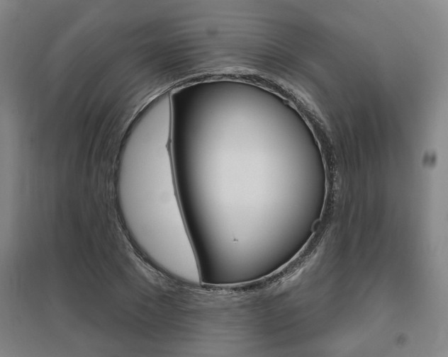 X0000095920881200801110852