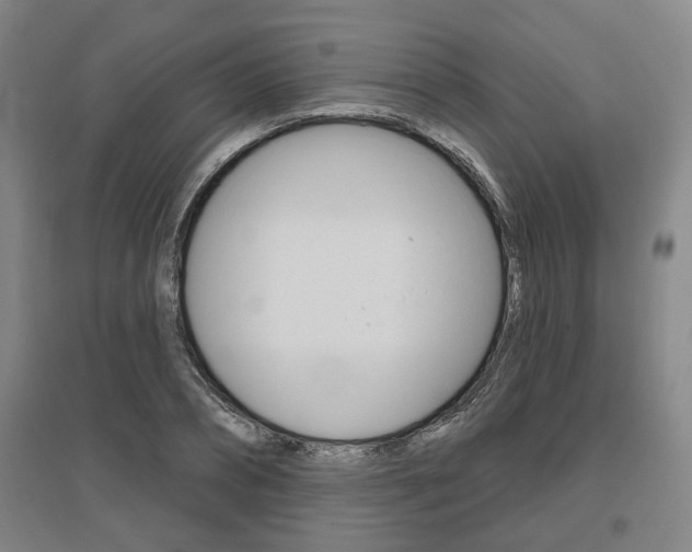 X0000095920882200801110852