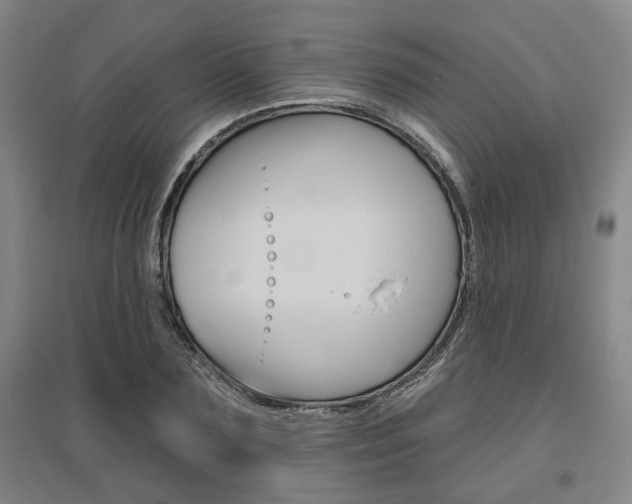 X0000095920883200801110852