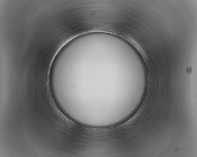 X0000095920884200801110852