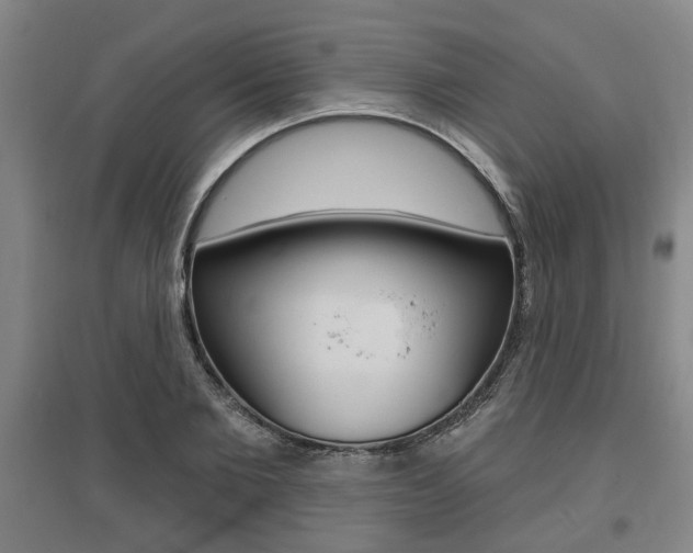 X0000095920885200801110852