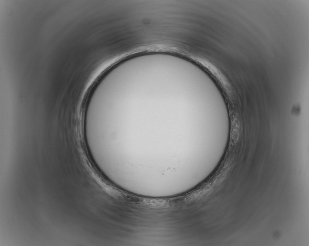 X0000095920886200801110852