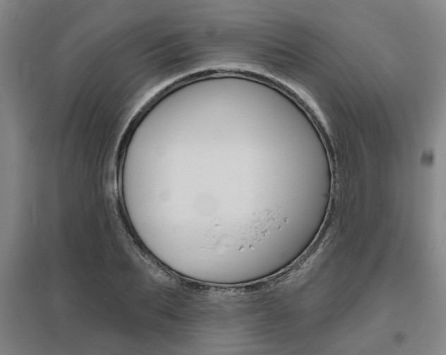 X0000095920887200801110852