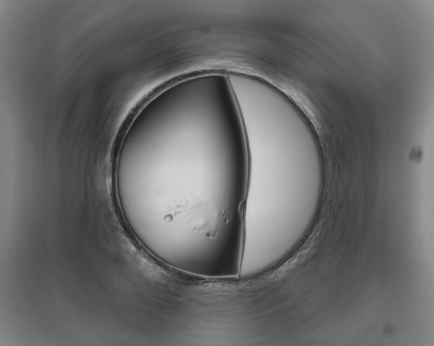 X0000095920888200801110852