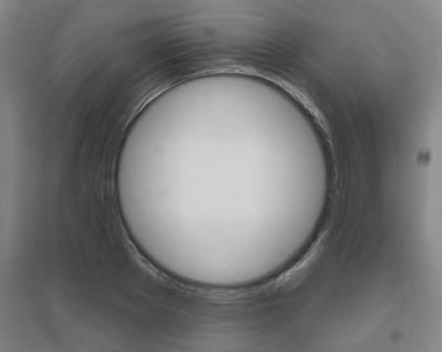 X0000095920889200801110852