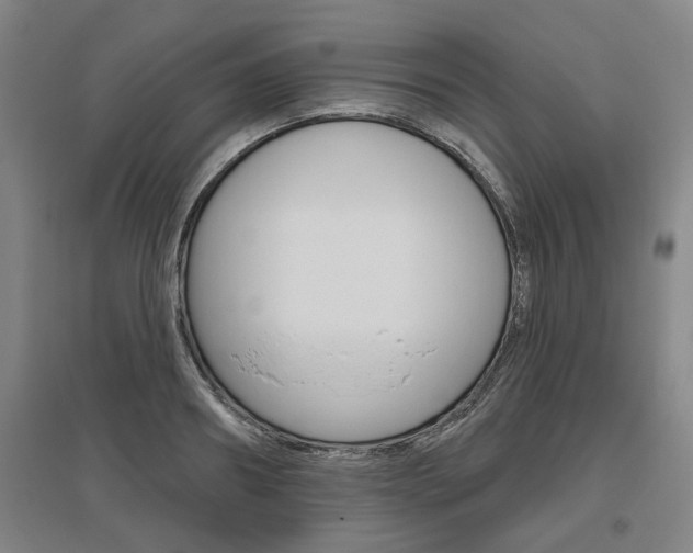 X0000095920890200801110852