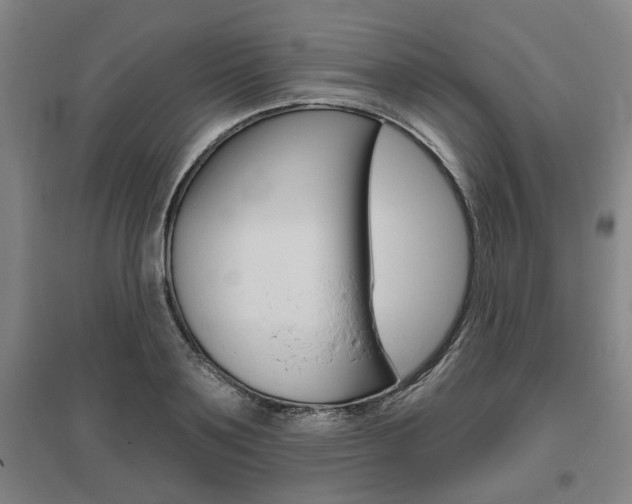 X0000095920891200801110852