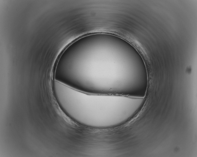 X0000095920892200801110852