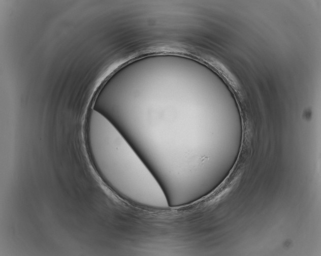 X0000095920893200801110852