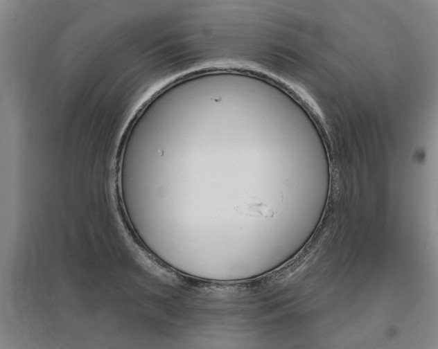 X0000095920895200801110852