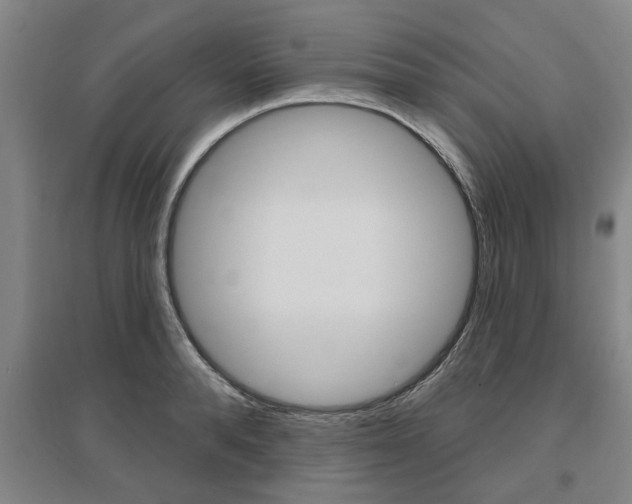 X0000095920896200801110852