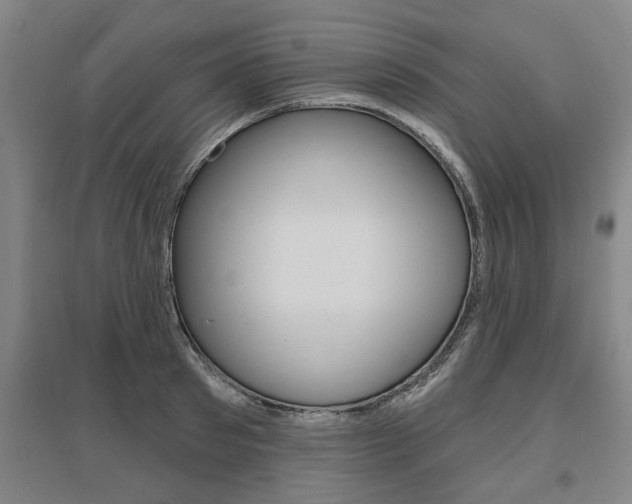 X0000095920897200801110852