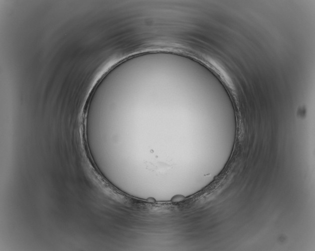 X0000095920899200801110852
