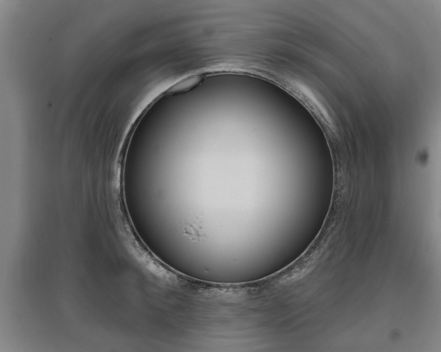 X0000095920900200801110852