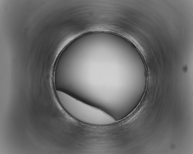 X0000095920901200801110852