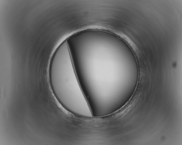 X0000095920902200801110852
